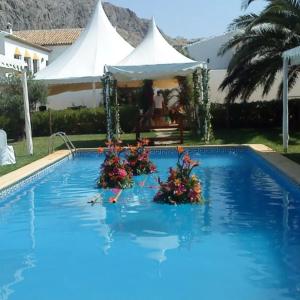 - une piscine avec une tente et des fleurs dans l'établissement Complejo Cortijo Rural el Puntal, à Teba