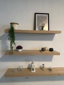 a shelf with a plant and a picture on it at Charming 3-Bed Studio in Arrentela in Arrentela