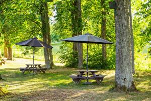 due tavoli da picnic con ombrelloni in un parco di Burbiskio dvaras a Anykščiai