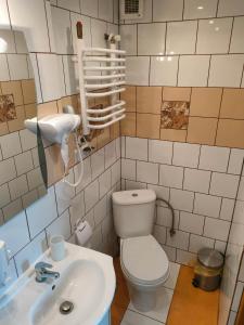 ein Bad mit einem WC und einem Waschbecken in der Unterkunft Pokoje Na Brzegu 