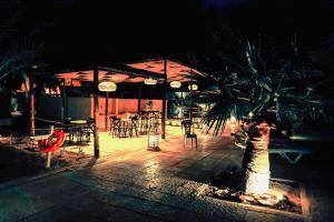 a palm tree in front of a restaurant at night at Hotel Continental in Kairouan