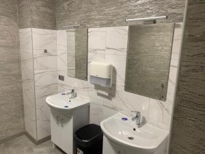 a bathroom with a sink and a toilet and mirror at VILLA ROZA Guest House in Rēzekne