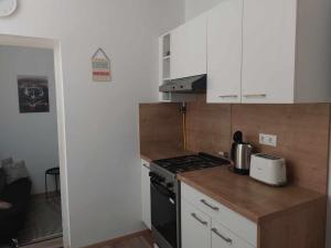 Kuchyň nebo kuchyňský kout v ubytování Várfal-Lak apartman