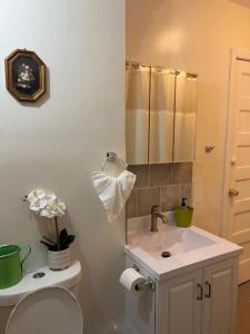 een badkamer met een wastafel, een toilet en een spiegel bij Victorian Palace- Mahogany Room in East Orange