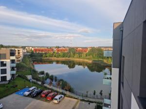 un gruppo di auto parcheggiate in un parcheggio vicino a un lago di Schneidemühl Premium Apartments a Piła