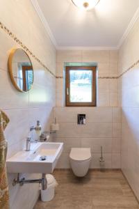 ein Badezimmer mit einem Waschbecken, einem WC und einem Spiegel in der Unterkunft Davidgut in Sankt Koloman