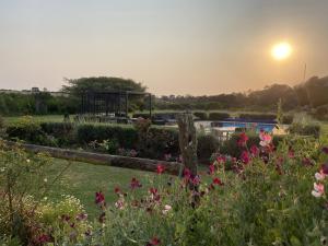 a garden with flowers and a sunset in the background at Kingston Farm in Bathurst