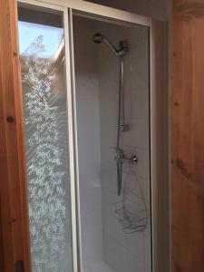 a shower with a glass door in a bathroom at Meribel Les Allues Ski Chalet with beautiful views in Les Allues