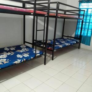 Zimmer mit 2 Etagenbetten in einem Schlafsaal in der Unterkunft Traveler House in Dimapur