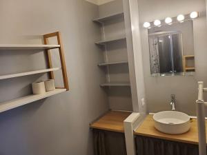 La salle de bains est pourvue d'un lavabo, d'un miroir et d'étagères. dans l'établissement Chaillot 1, à Saintes