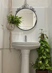 a bathroom sink with a mirror and potted plants at beNomadic Eco Hostel, Madikeri, Coorg in Suntikoppa