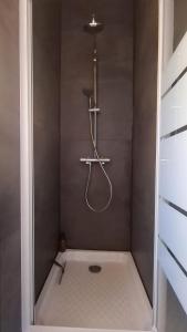 a bathroom with a shower with a shower head at Duplex Centre - Le Marché in Obernai +7 photos