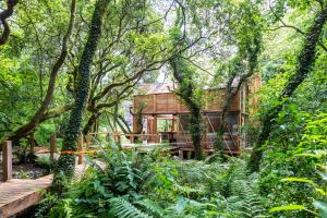 una casa en un árbol en el bosque con una terraza de madera en Architectural Danish Cabin surrounded by nature en Treknow