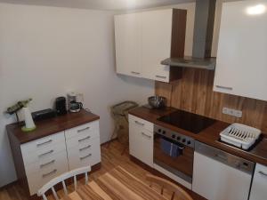 A kitchen or kitchenette at Wohnung Rheintal im Alpenvorland