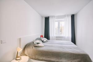 een witte slaapkamer met een bed en een raam bij DaGys apartments in Druskininkai