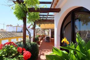 een patio van een huis met bloemen en planten bij Casa con encanto en la judería de Córdoba in Córdoba