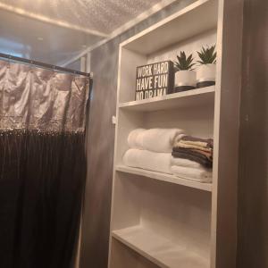 a bathroom with a closet with towels and a shower at The Lion's Den in Jacksonville