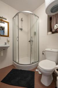 a bathroom with a shower and a toilet and a sink at Domki Jasicówka pod Łysą Górą in Limanowa