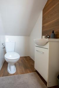 a bathroom with a toilet and a sink at Domki Jasicówka pod Łysą Górą in Limanowa