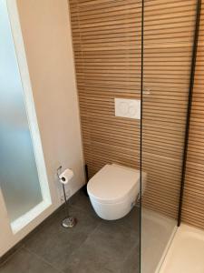 a bathroom with a toilet and a glass shower at Außergewöhnliches Apartment in bester Lage in Biberach an der Riß +3 photos