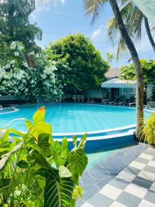 een blauw zwembad met palmbomen ervoor bij Hotel Mount Lanka in Watumulla