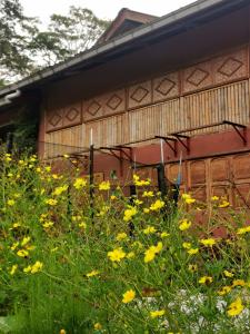 uma casa com flores amarelas em frente em Tirtha Quddus Farmstay em Bentong