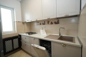 Η κουζίνα ή μικρή κουζίνα στο VILA CARACOSTEA