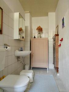 a bathroom with a toilet and a sink at Ferienwohnung Ida Pfeiffer in Eibenstock