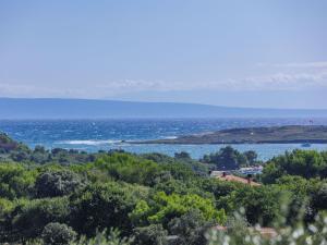 a view of the ocean from a hill with trees at Apartment Gabi - MDN151 by Interhome in Ližnjan