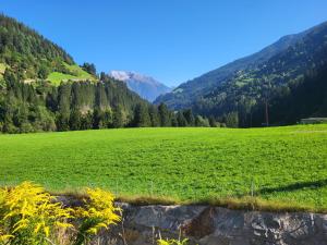 Paesaggio naturale nelle vicinanze dell'appartamento