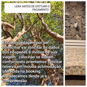 un collage de fotos de un árbol y una pared de piedra en Jardim Leonor Suíte para MULHERES Profissionais da Saúde Hospital Einstein Morumbi, en São Paulo