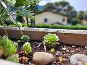 Zahrada ubytování Apartment App- 21 by Interhome + 16 fotografií