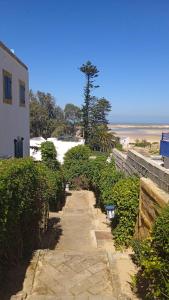 a pathway leading to a beach with a tree at Soultana 2 pour les familles in Oualidia