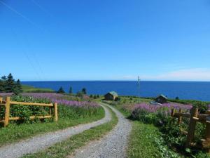 a dirt road next to the ocean with purple flowers at Les Chalets Brise-de-Mer in Sainte-Thérèse-de-Gaspé