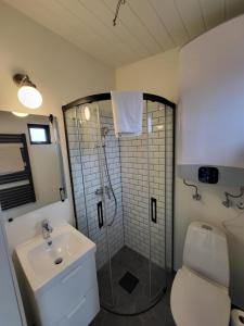 教堂城Landbrot Guesthouse的带淋浴、水槽和马桶的浴室