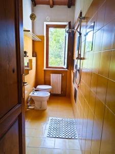 a bathroom with a toilet and a window at La casa nella vigna [colline del vino] in Capannori