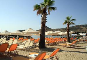 a group of chairs and palm trees on a beach at Hotel Stella in Volos
