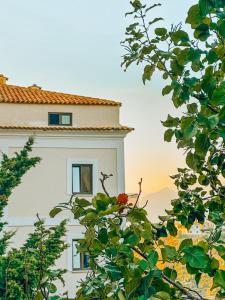 un edificio visto attraverso le foglie di un albero di Appartamenti L'Arcella a San Nicola Arcella