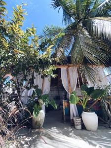 a house with a palm tree and a bunch of plants at Malaika House Paje in Paje