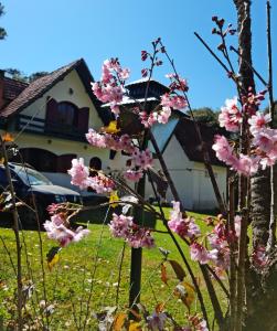 ein Haus mit rosa Blumen im Hof in der Unterkunft marcita chalé in Monte Verde