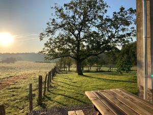 a tree in the middle of a field with a wooden bench at SCI BSA Magnifique maison au calme in Les Essards-Taignevaux