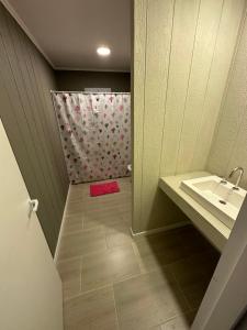 Un pequeño baño con lavabo y ducha. en Casa barrio cerrado Las Lomas, en Monte Hermoso 3 fotos más
