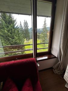 Cette chambre dispose d'une fenêtre offrant une vue sur les arbres. dans l'établissement [Campiglio] Appartamento Cristallo, à Madonna di Campiglio