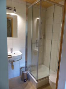 ein Bad mit einer Dusche, einem WC und einem Waschbecken in der Unterkunft Gasthaus Heiligkreuz in Binn