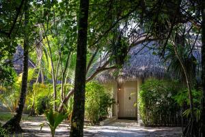Zahrada ubytování Nika Island Resort & Spa, Maldives
