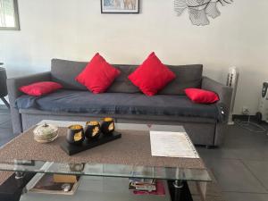 アンティーブにあるle miradorのリビングルーム(赤い枕とグレーのソファ付)