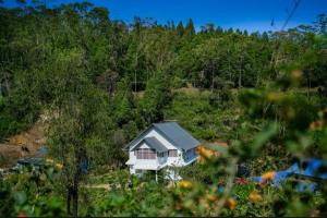 Fotografie z fotogalerie ubytování SKYLARK HOMES v destinaci Devikolam