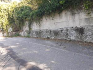 a road next to a concrete wall with plants at Marika's Home in Moneglia