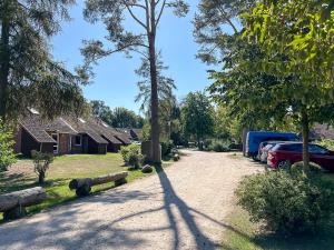 Ein Garten an der Unterkunft Urlauberdorf Haus 31d