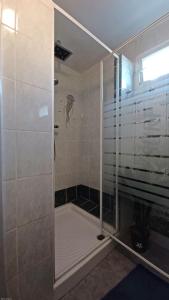 een douche met een glazen deur in de badkamer bij joli appartement in Villeneuve-sur-Lot
